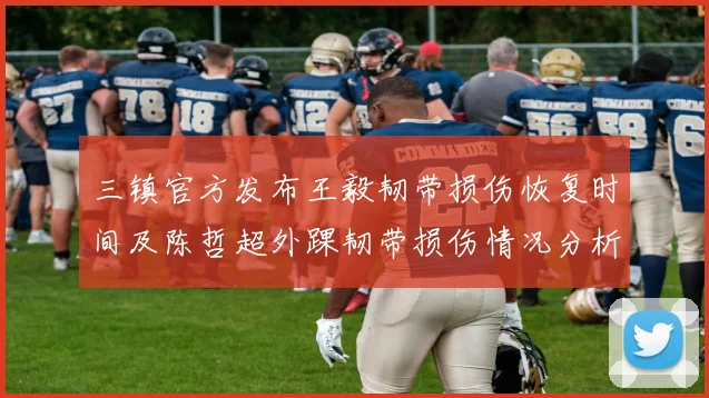 三镇官方发布王毅韧带损伤恢复时间及陈哲超外踝韧带损伤情况分析
